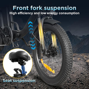 20" Fat Tire Electric Family Cargo Bike 48V Lithium Battery Hybrid Cargo Electric Bicycle with Rear Rack - Product Image 5