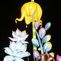 Lanternes florales artisanales personnalisées, patrimoine culturel immatériel chinois, lanternes LED, adaptées aux parcs à thème, lanternes nocturnes
