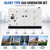 Groupe électrogène au gaz naturel super silencieux 200kW 250kW 300kW à puissance de sortie optionnelle, certifié CE pour l'alimentation de secours des usines et des centres de données
