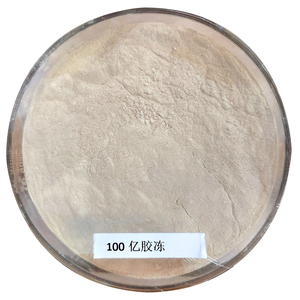 Bacillus subtilis <span class=keywords><strong>Trichoderma</strong></span> <span class=keywords><strong>reesei</strong></span> - Product Image 4