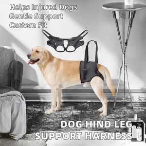 Imbracatura di Supporto per Zampe Posteriori di Cani, Materiale in Poliestere Solido <span class=keywords><strong>XL</strong></span>, Comoda Cinghia di Trazione per Cani Infortunati o Anziani in Riabilitazione - Product Image 2