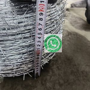 ลวดหนามเหล็กชุบสังกะสีเคลือบพีวีซี ขนาด 200 ม./250 ม./500 ม. เบอร์ 16 แบบม้วน บิดสองชั้น พร้อมระบบป้องกันรั้ว สำหรับบราซิลและเปรู - Product Image 3