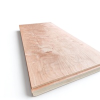 Panneau de contreplaqué 12mm 18mm pour coffrage 4x8, avec âme et face en bois dur stratifié marin, résistant à l'eau pour extérieur et intérieur
