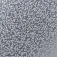 Plaques diffuseuses d'éclairage à bulles d'air en acrylique personnalisables de haute qualité, surface texturée, matériau écologique, découpe à domicile