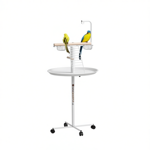 Support pour oiseaux en métal rond, durable, style moderne, pour intérieur - Product Image 1