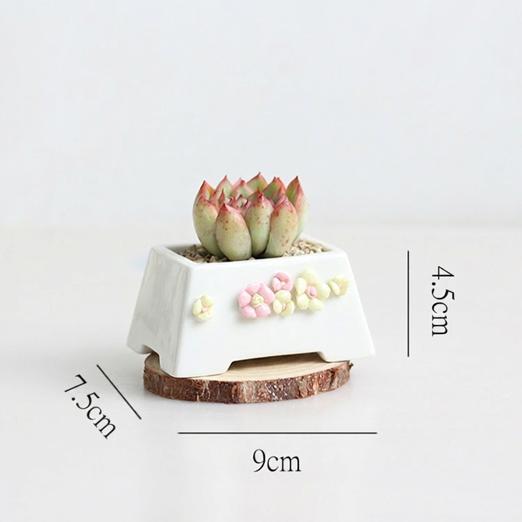 Handmade Pinch Ceramic Succulent Pot – White Painted Small Planter - View 6