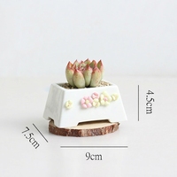 Pot de fleurs en céramique fait main, pot pour plantes succulentes, petit pot blanc peint