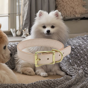 Collar de Cuero Curtido Vegetal de Grano Completo para Perro, Bordes Pulidos a Mano con Herrajes de Latón Macizo, Collar de Lujo Ajustable para Mascotas - Product Image 2