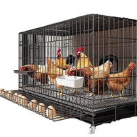 Cages à pigeons simples en gros du fabricant, cloisons d'élevage, hangars de course, équipement de transport de taille moyenne pour poulets