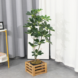 Plantas Artificiales, Árbol Decorativo para el Hogar, Bonsái, Plantas <span class=keywords><strong>de</strong></span> Plástico en Macetas, Decoración <span class=keywords><strong>de</strong></span> Jardín, Paisajismo Moderno, Plantas Artificiales <span class=keywords><strong>de</strong></span> Interior - Product Image 6
