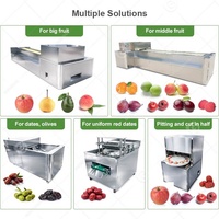 Industriële automatische elektrische appel- en kersenontpitter, litchi-ontpittermachine
