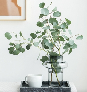 Nordic Fashion Grey Glass <b>Vase</b> Modern Soft Installation Hydroponic Floral <b>Set</b> Living Room Table Decoration Crystal Glass <b>Vase</b> - Product Image 5