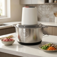 Penggiling Daging Ayam 3-in-1 Stainless Steel 3L Murah, 2 Kecepatan, Alat Cincang Daging Rumah Tangga