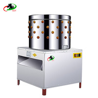 Machine automatique d'épilation de volaille