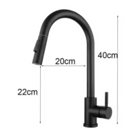 Pulvérisateur à tirette moderne à poignée unique en acier inoxydable nickel brossé pour cuisine salle de bain ferme simple