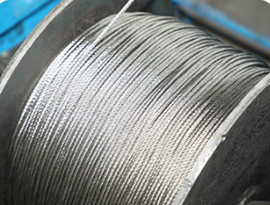 थोक 316 स्टेनलेस स्टील तार रस्सी 0.5-12m1*19 ब्रेक और थ्रॉटल केबल स्टील केबल केबल स्टील केबल तार स्पॉट - Product Image 5