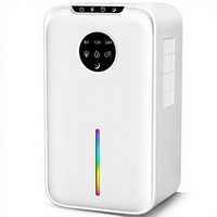 Déshumidificateur électrique portable 1L, déshydrateur d'air domestique, réfrigérant, alimentation électrique, fabriqué en plastique pour usage domestique