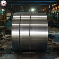 Koil Baja Silikon CRGO H27GK100 0.27mm Kehilangan Besi 0.921-0.97 Induksi Magnetik 1.87T untuk Inti Transformator Daya