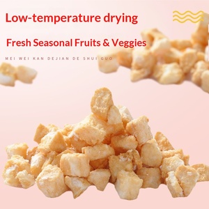 Großhandel Premium-Qualität Vakuumverpackte 100% Getrocknete Apfelwürfel Fruchtsnacks für Gebackene Mittagessen - Product Image 1