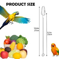 Cage à oiseaux en acier inoxydable porte-nourriture perroquet fruits légumes brochette mangeoire jouet écologique pour perruche perruche ara