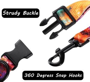 Juego de collar y correa de perro de color personalizado para perros pequeños, medianos y grandes, collar de perro con tinte de rayas arcoíris - Product Image 3