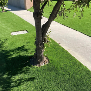 Y1201 Synthetic <b>Grass</b> Landscaping Garden Hot Sale USA Long Lifetime OEM ODM <b>Artificial</b> Turf Durable Eco-Friendly Modern Premium - Product Image 1