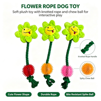 Jouet à mâcher en corde TPR pour chien, balle à picots, jouet interactif pour nettoyer les dents, pour chiens de petite/moyenne taille, intérieur/extérieur