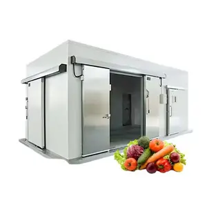 Refrigerador de cámara frigorífica de tamaño pequeño personalizado, contenedor de congelador profundo, almacenamiento de cámara frigorífica para carne/Pescado/verduras/frutas