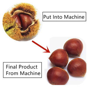 Machine <span class=keywords><strong>à</strong></span> éplucher et éplucher la coquille de noyer, <span class=keywords><strong>éplucheuse</strong></span> professionnelle, extracteur de coque de noyer - Product Image 6