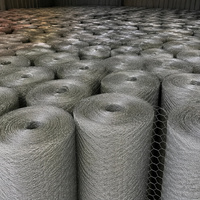 Nouveau Rouleau de Grillage Hexagonal Galvanisé à Forte Revêtement de Zinc, Résistant à la Rouille, pour Clôture de Poulailler, Jardin et Ferme, Garantie 1 An