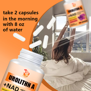 Capsules de Urolithin A NAD à marque privée avec extrait de pépins de raisin, pterostilbène, capsules de complément alimentaire végétalien complexe de Urolithin A - Product Image 4