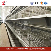 Cages à poulets fantaisie en Chine Fournisseur de cages à borier automatiques à cadre en H Cages à poulets de chair automatiques à 4 niveaux en gros