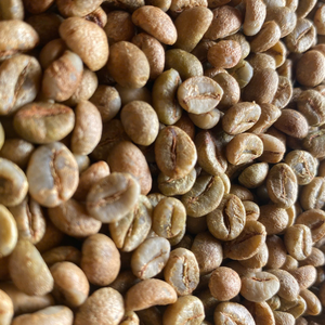 Wholesale Vietnam Green <b>Robusta</b> Colored <b>Coffee</b> <b>Beans</b> Natural Unroasted Seed Bulk Supply OEM ODM Export Grade 12% Moisture - Product Image 2
