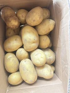 Nueva cosecha de patatas frescas de calidad superior verduras frescas orgánicas personalizadas venta al por mayor precio barato patatas frescas - Product Image 2