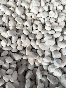 <span class=keywords><strong>Pierre</strong></span> <span class=keywords><strong>de</strong></span> galet naturelle blanche pure, 18 kg/sac, <span class=keywords><strong>pierre</strong></span> naturelle <span class=keywords><strong>pour</strong></span> la décoration <span class=keywords><strong>de</strong></span> <span class=keywords><strong>jardin</strong></span>, <span class=keywords><strong>pierre</strong></span> <span class=keywords><strong>de</strong></span> pavage - Product Image 5