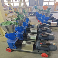 Machine à granulés compacte haute performance, qualité export, alimentation fluide pour ferme rurale, état neuf