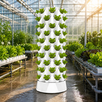 Tour hydroponique à haut rendement à 10 niveaux pour la culture d'ananas avec pompe submersible et pots en filet pour l'agriculture verticale intérieure