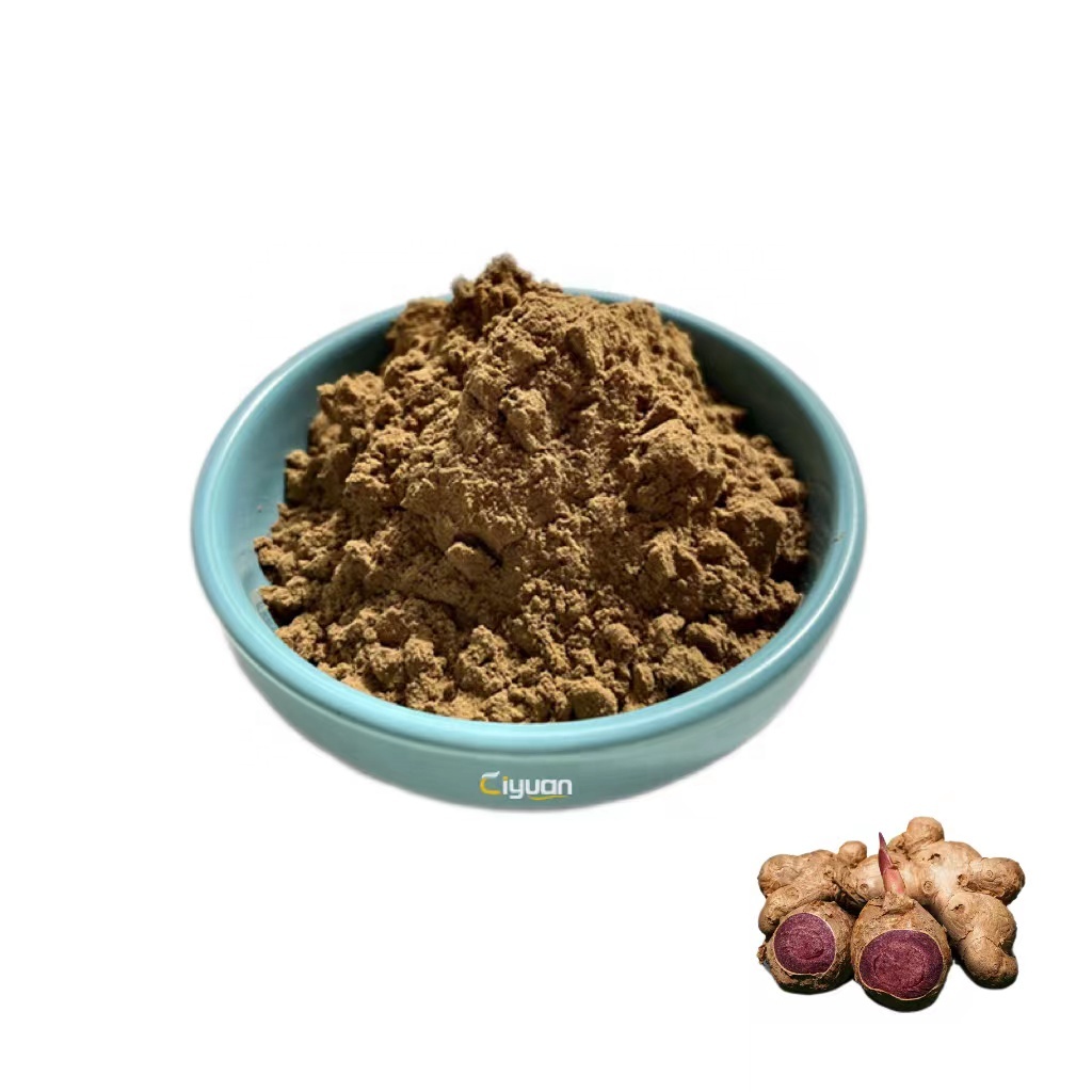 Wholesale organic black ginger extract powder 10:1 Kaempferia Parviflora Extract OEM Service