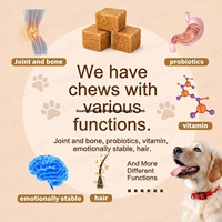 Friandises calmantes pour chiens OEM, comprimés apaisants pour animaux de compagnie avec probiotiques et suppléments vitaminiques favorisant la relaxation