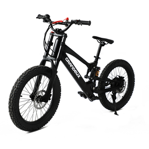 Nuovissima Bici Elettrica da Corsa per Bambini, 18/20 Pollici, Motore 36V 750W, Lunga Autonomia, Modello EKB02 - Product Image 1