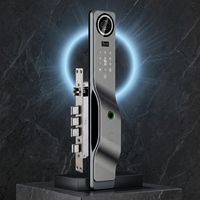 Multi Function Security Camera Smart Door Lock Face Recognition Password IC Card Unlock Cloud Storage for Aluminum/Wood Doors