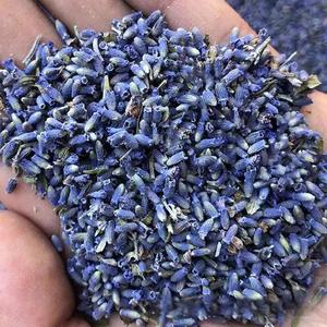 1kg nueva moda semillas de lavanda secas brotes bolsita bolsa cosechadora para la venta fragancia flores secas té púrpura Color salud paquete - Product Image 3