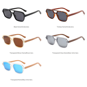 2025 gafas de sol Unisex de alta calidad de moda gafas de sol Retro transparentes para mujeres logotipo personalizado hombres gafas de sol de doble puente - Product Image 2