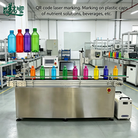 Machines de marquage laser automatiques avec système de convoyeur pour les bouteilles en verre et en plastique, les lignes d'emballage des aliments, des boissons et des cosmétiques