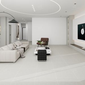 Carreaux Sol 60x60 Gris Clair Piso Porcelanato baldosas de 60x60 fabrica - Product Image 6