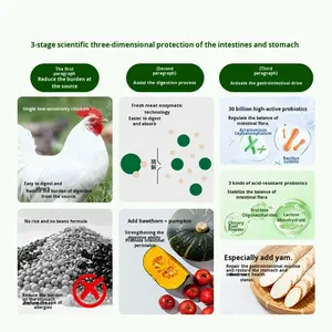 Alimento Hinchado <span class=keywords><strong>para</strong></span> <span class=keywords><strong>Gatos</strong></span> C78 <span class=keywords><strong>para</strong></span> el Manejo <span class=keywords><strong>Gastrointestinal</strong></span>, Mejora la Defecación Blanda, Diarrea, Defecación con Mal Olor, Todas las Etapas, 18 Meses de Duración, Prueba - Product Image 3