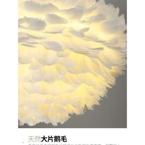 Lámpara Colgante Moderna Minimalista de Estilo Nórdico para Dormitorio, Lámpara de Plumas Romántica y Moderna, Estilo Cremoso para Iluminación Principal - Product Image 2