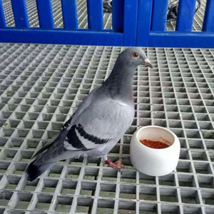 พื้นตะแกรงไฟเบอร์กลาสเสริมแรง FRP ขายส่ง พร้อมบริการตัดตามขนาด ทางเดิน รางระบายน้ำ - Product Image 5