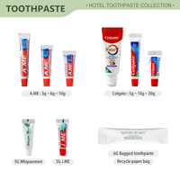 Brosse à dents jetable avec dentifrice pour hôtels, kit d'hygiène portable pour salle de bain d'hôtel, fournitures hôtelières personnalisées, kit de toilette format voyage