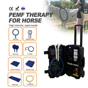 Dispositivo de Bucle Magnético Pemf Veterinario de Doble Canal para Relajación Muscular y Circulación Sanguínea - Product Image 1